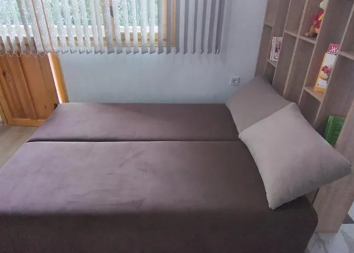 Pensionat къща росена - за гости